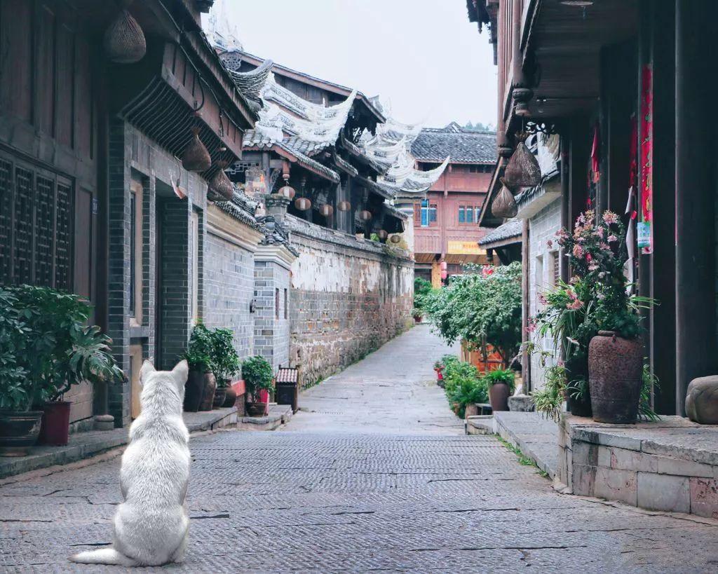 天下手游